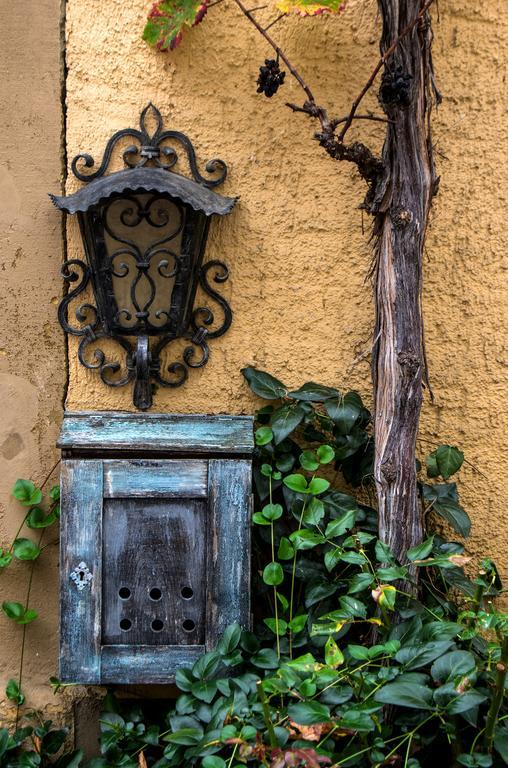 Gasthaus Zum Hirschen Staufen im Breisgau Exterior foto