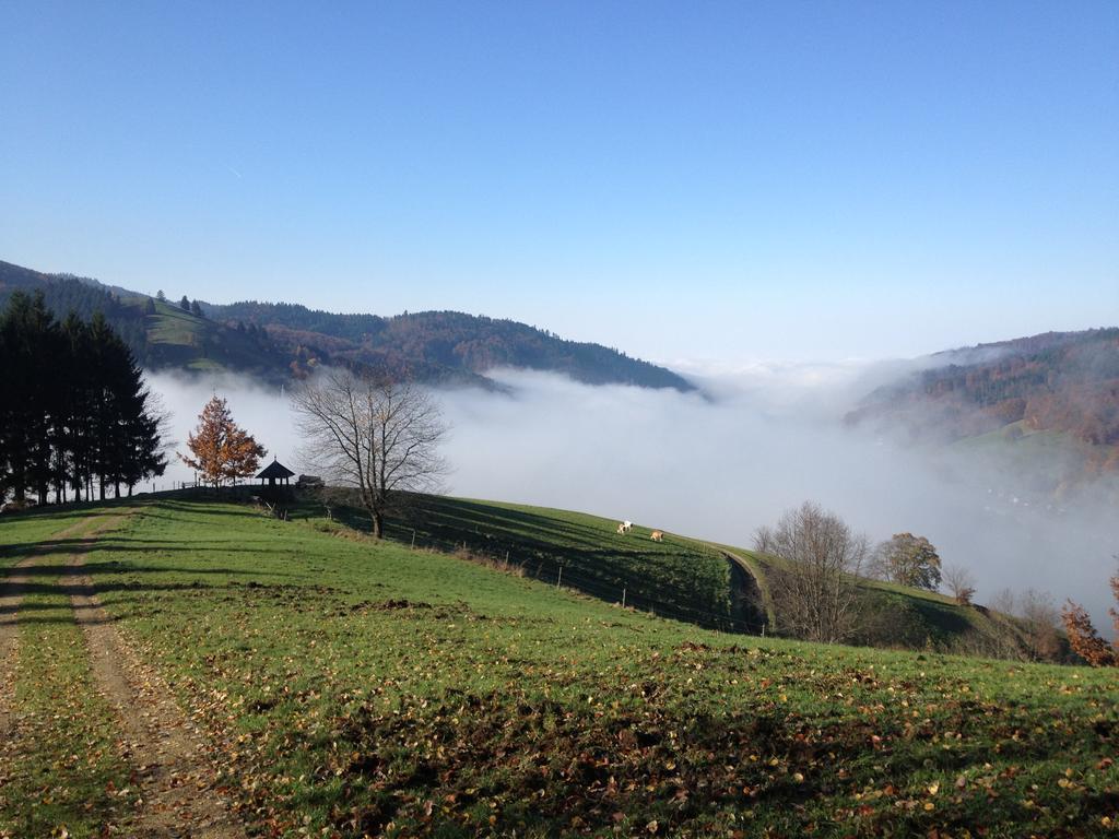 Gasthaus Zum Hirschen Staufen im Breisgau Exterior foto