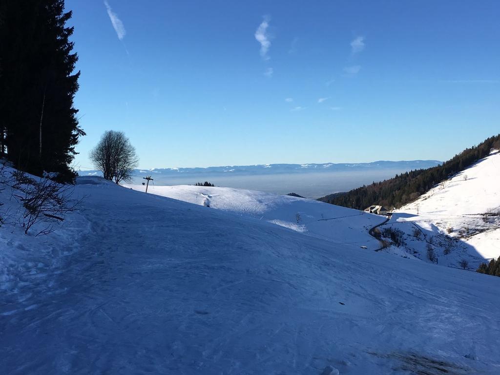 Gasthaus Zum Hirschen Staufen im Breisgau Exterior foto