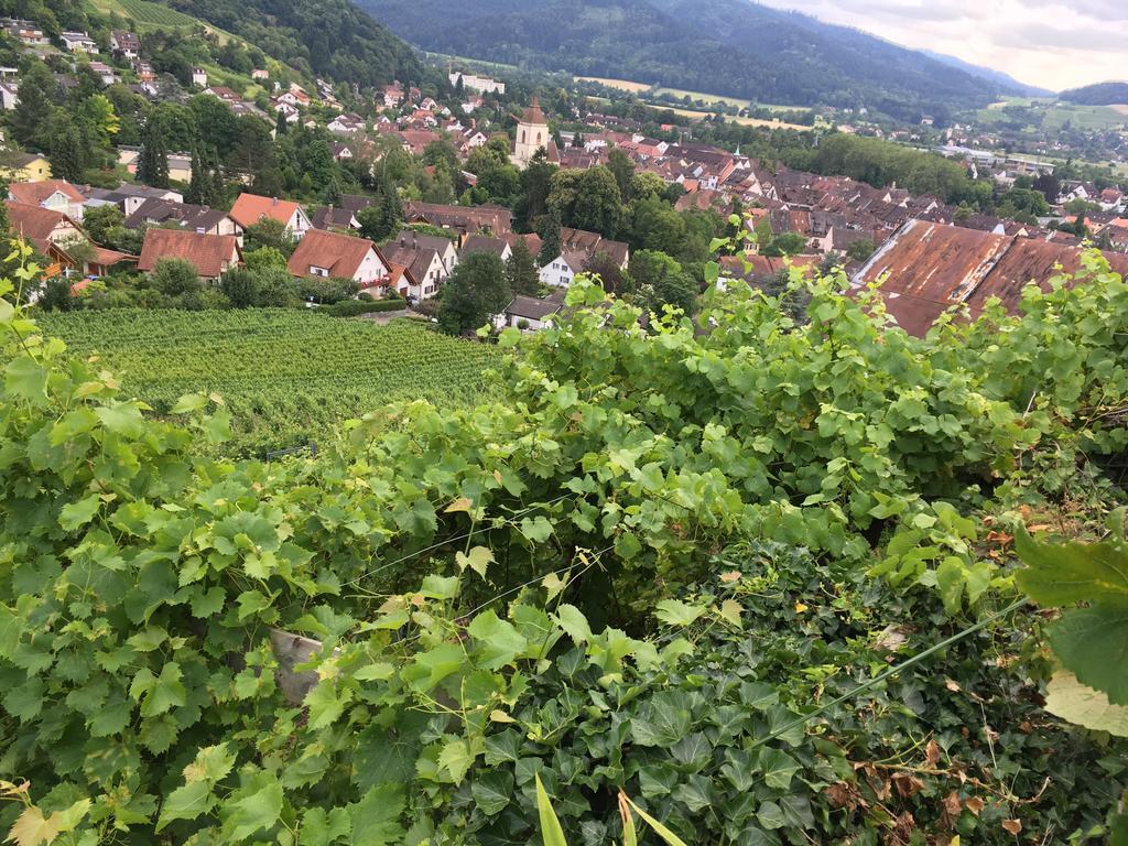 Gasthaus Zum Hirschen Staufen im Breisgau Exterior foto